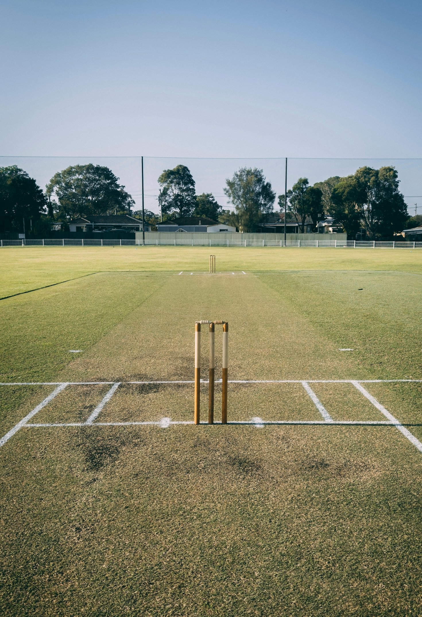 A Beginner’s Guide to Cricket Match Predictions